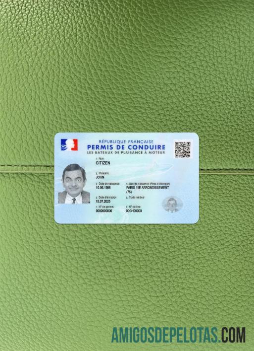 Carta de condução francesa 2025 presente fotolook frente exemplo real